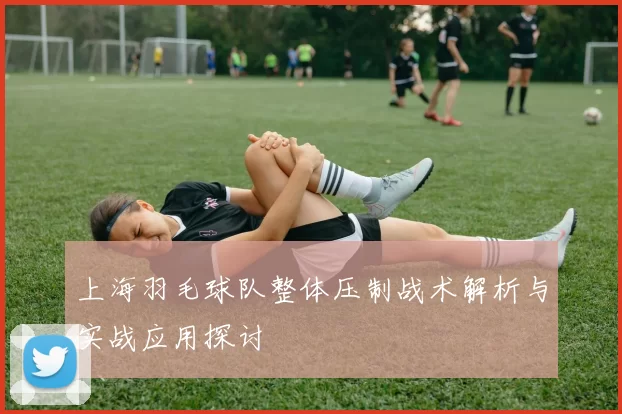 上海羽毛球队整体压制战术解析与实战应用探讨