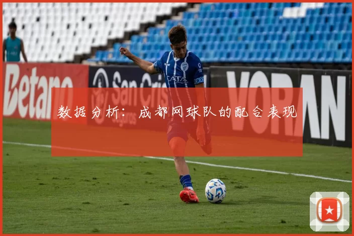 数据分析：成都网球队的配合表现
