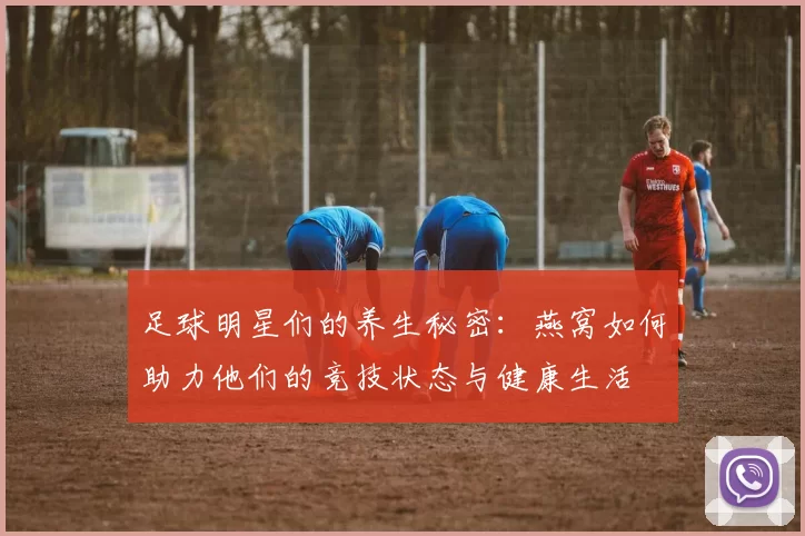 足球明星们的养生秘密：燕窝如何助力他们的竞技状态与健康生活