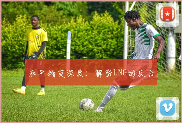 和平精英深度：解密LNG的反击