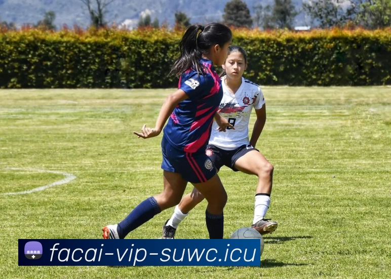 乐鱼体育平台生态图